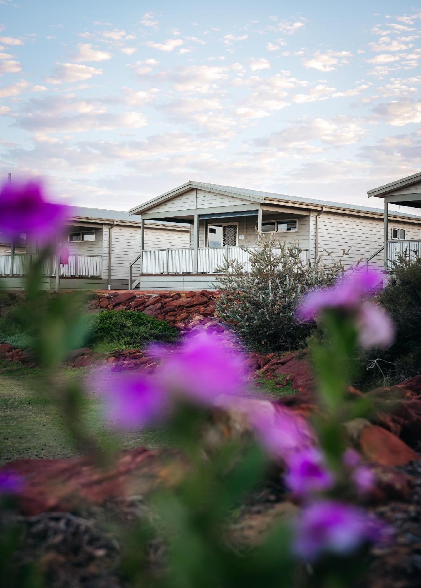ホテル Kalbarri Red Bluff Tourist Park エクステリア 写真